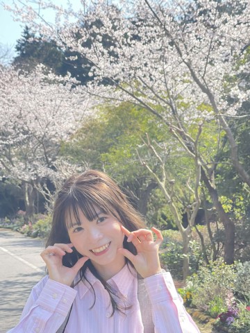 会員No.3729